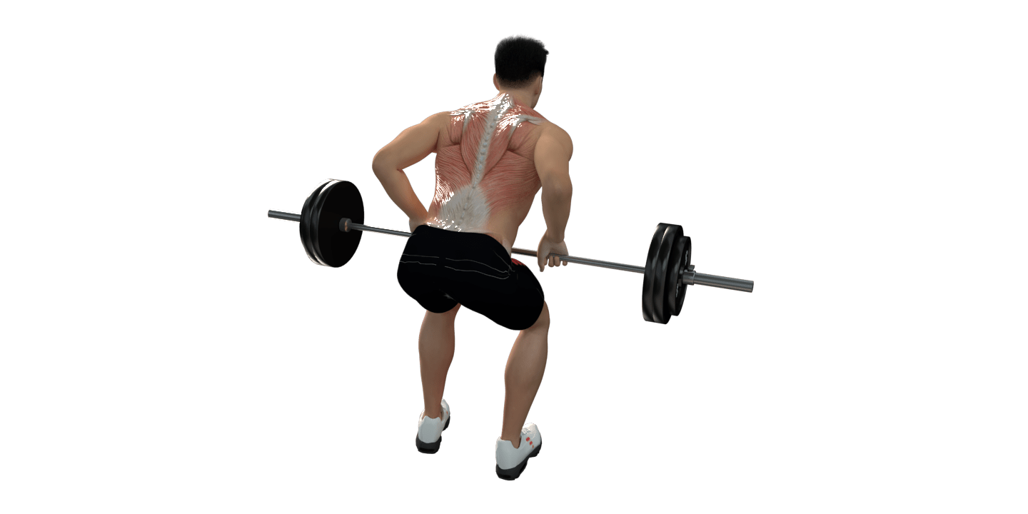 Barbell Bent-Over Row