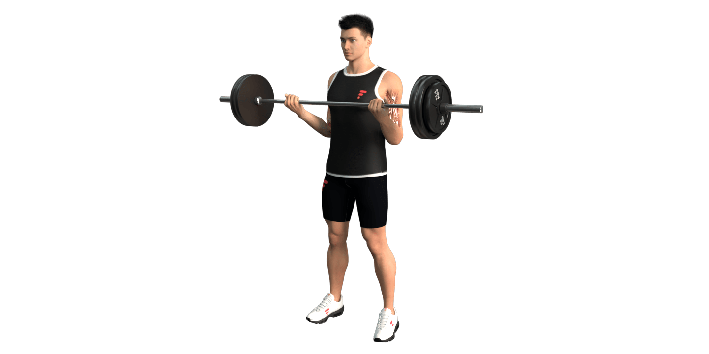 Barbell Biceps Curl