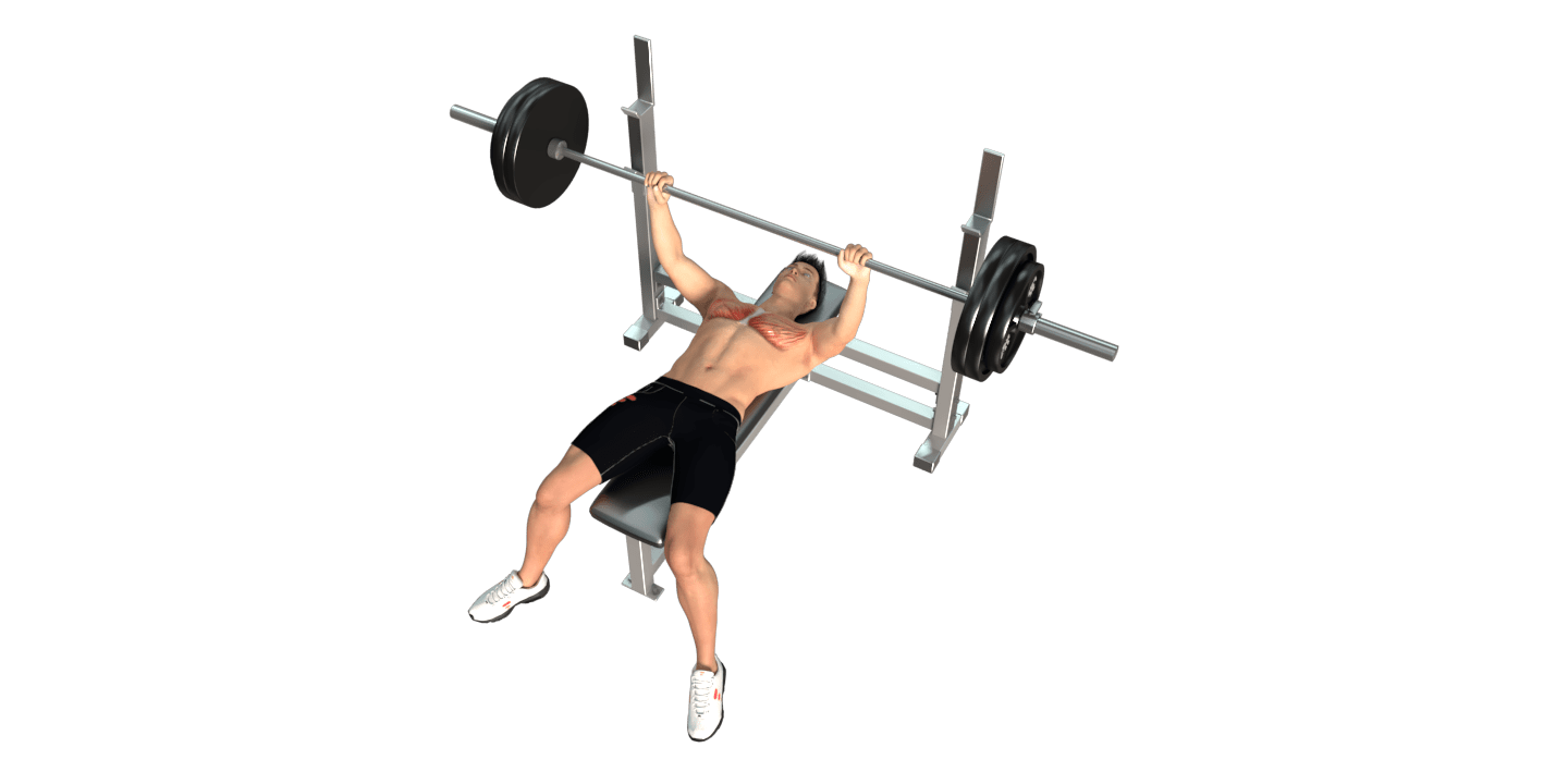 Bench Press