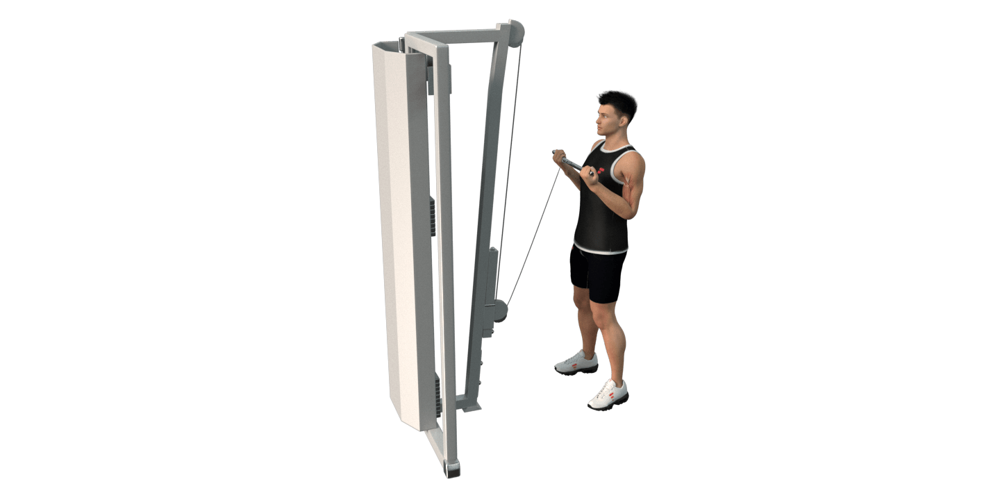 Cable Bicep Curl