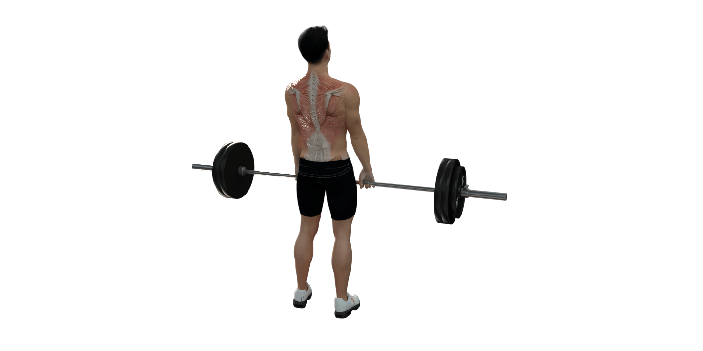 Deadlift