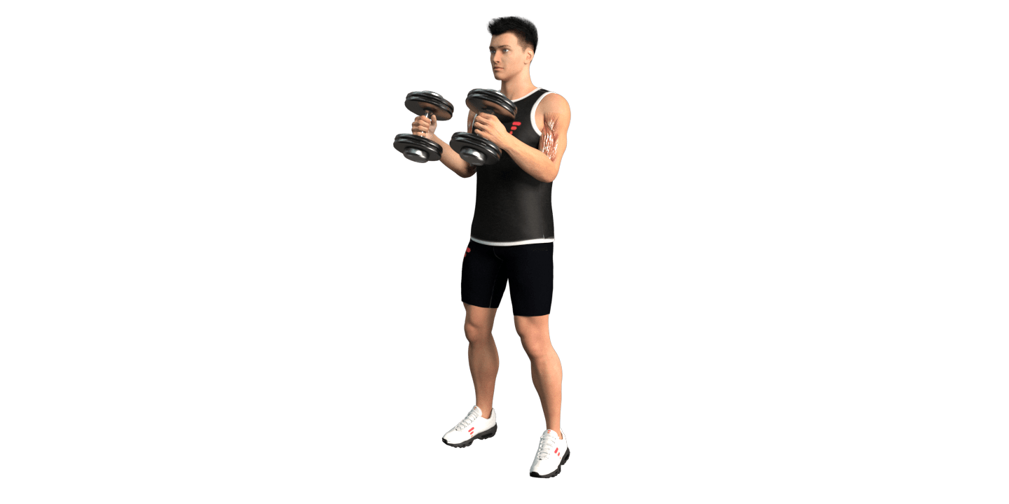 Hammer Curl