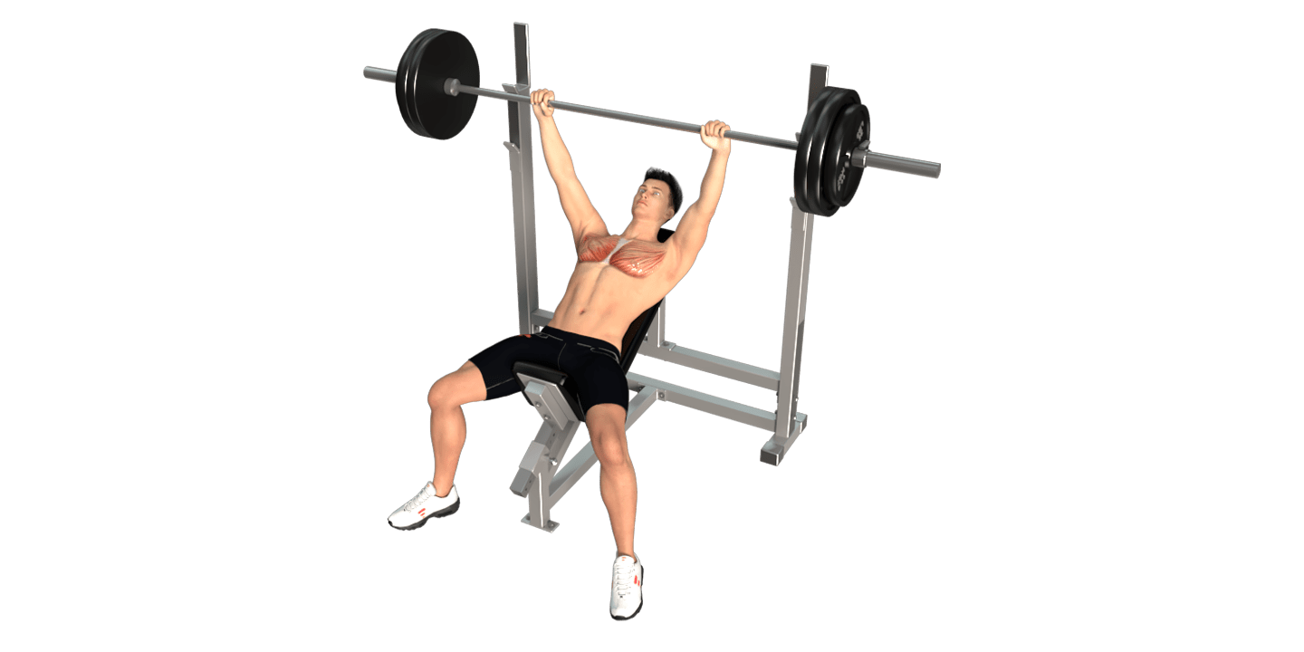 Incline Bench Press