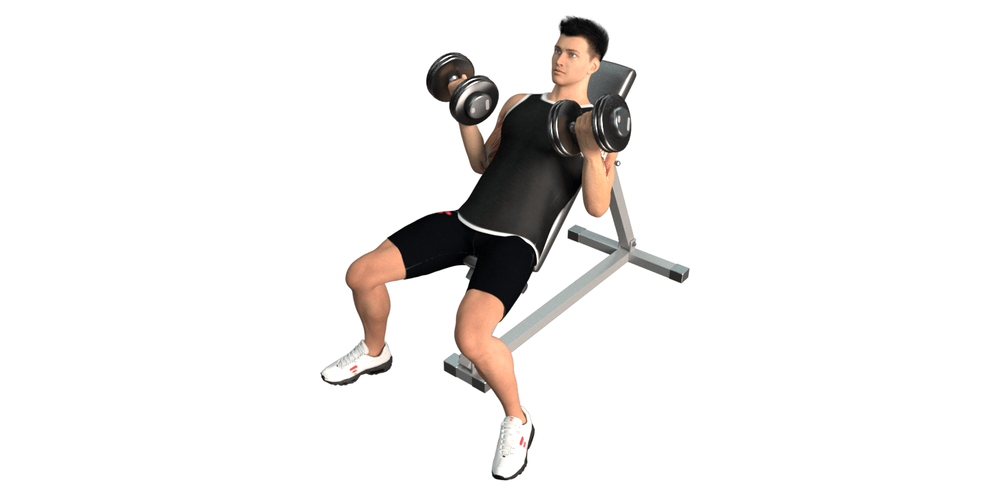 Incline Seated Dumbbell Curl