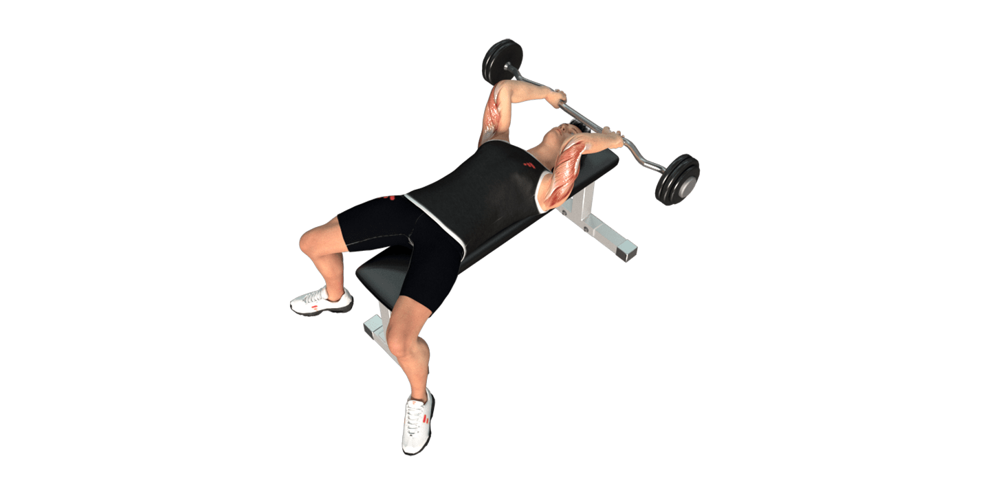 Lying Isometric Tricep Extension