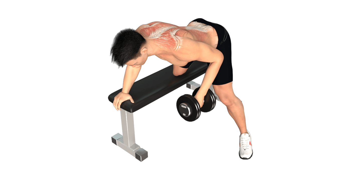 One-Arm Dumbbell Row