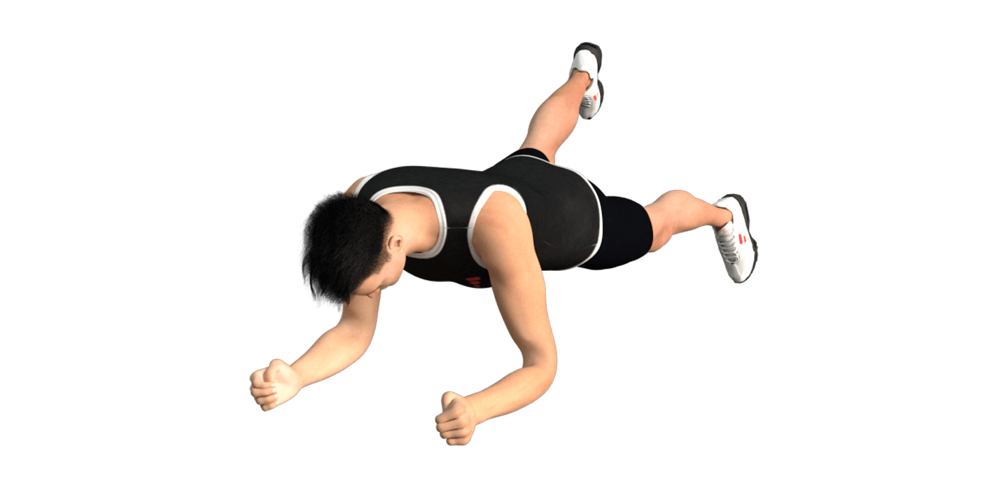Plank with Leg Lift