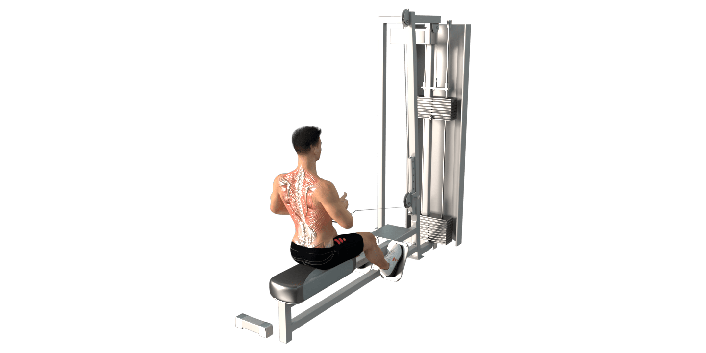 Seated Machine Row