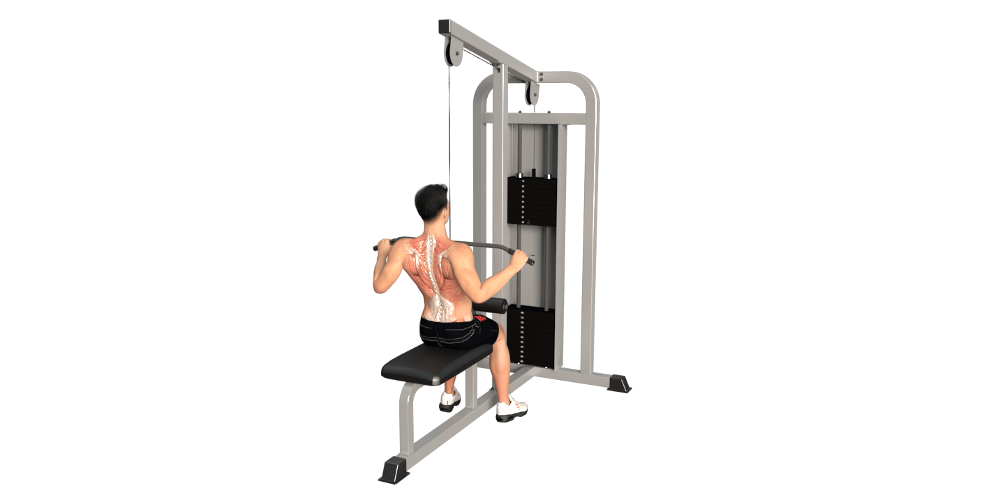 Wide-Grip Lat Pulldown